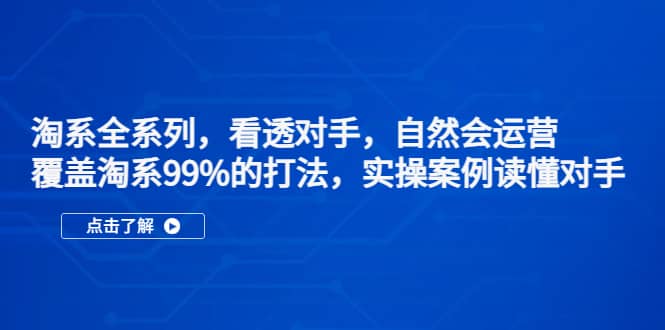 淘系全系列，看透对手，自然会运营，覆盖淘系99%·打法，实操案例读懂对手-文言网创