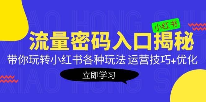 小红书流量密码入口揭秘：带你玩转小红书各种玩法 运营技巧 优化-文言网创