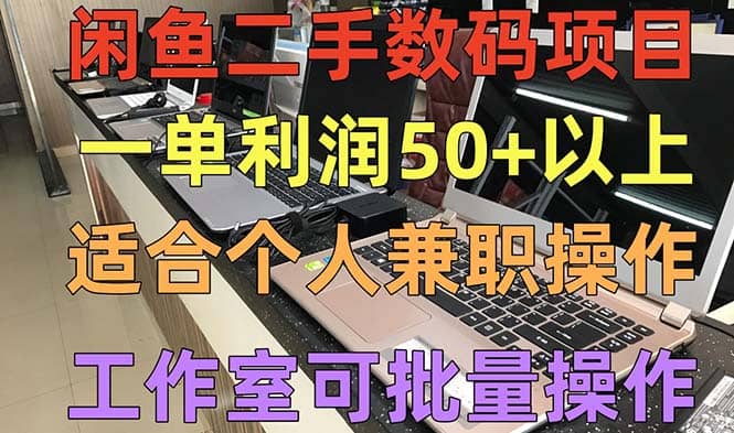 闲鱼二手数码项目，个人副业低保收入，工作室批量放大操作-文言网创