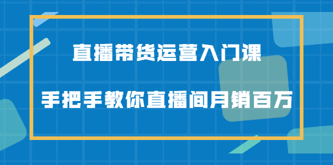 直播带货运营入门课，手把手教你直播间月销百万-文言网创