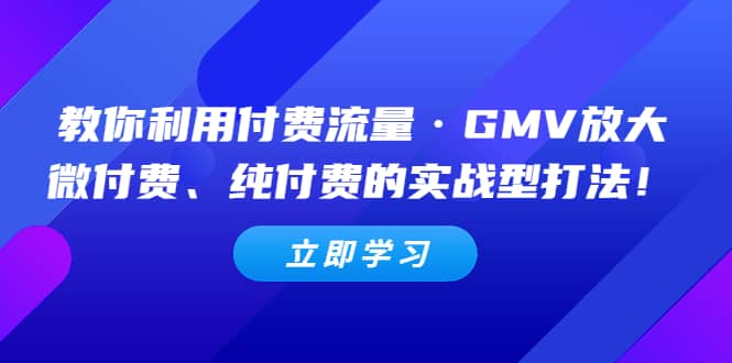 教你利用付费流量·GMV放大，微付费、纯付费的实战型打法-文言网创