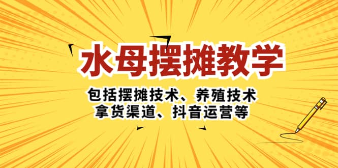 水母·摆摊教学，包括摆摊技术、养殖技术、拿货渠道、抖音运营等-文言网创