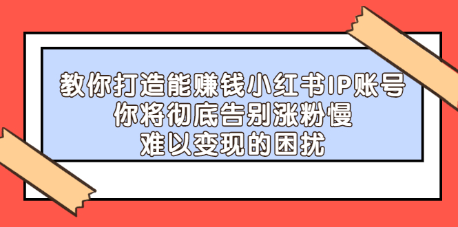 教你打造能赚钱小红书IP账号，了解透彻小红书的真正玩法-文言网创