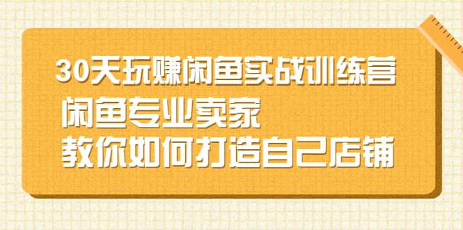 30天玩赚闲鱼实战训练营，闲鱼专业卖家教你如何打造自己店铺-文言网创