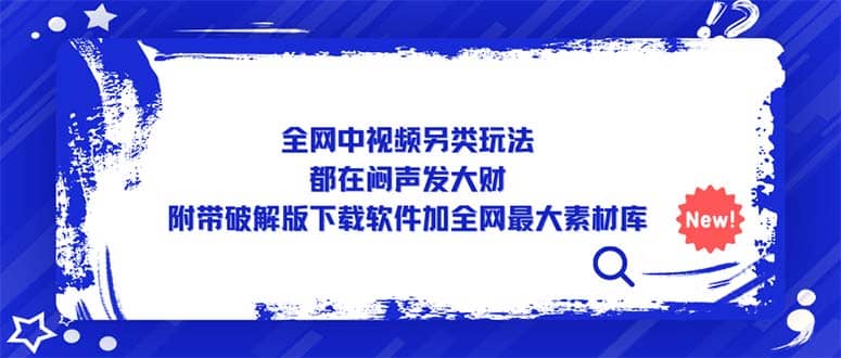 全网中视频另类玩法，都在闷声发大财，附带下载软件加全网最大素材库-文言网创