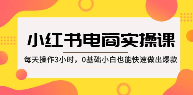 小红书·电商实操课：每天操作3小时，0基础小白也能快速做出爆款-文言网创