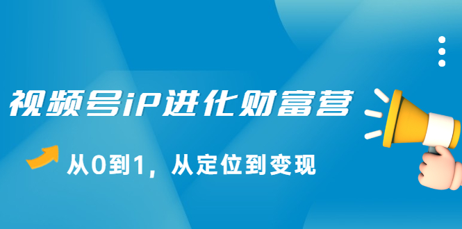 视频号iP进化财富营第1期，21天从0到1，从定位到变现-文言网创