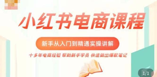 小红书电商新手入门到精通实操课，从入门到精通做爆款笔记，开店运营-文言网创