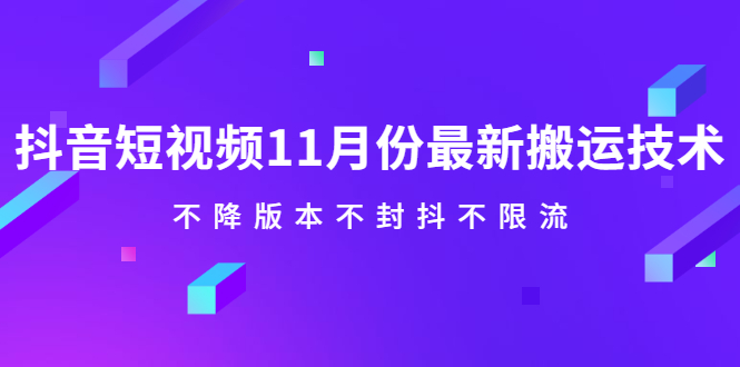 抖音短视频11月份最新搬运技术，不降版本不封抖不限流！【视频课程】-文言网创