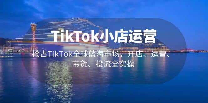 TikTok小店运营 抢占TikTok全球蓝海市场，开店、运营、带货、投流全实操-文言网创