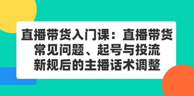 直播带货入门课：直播带货常见问题、起号与投流、新规后的主播话术调整-文言网创