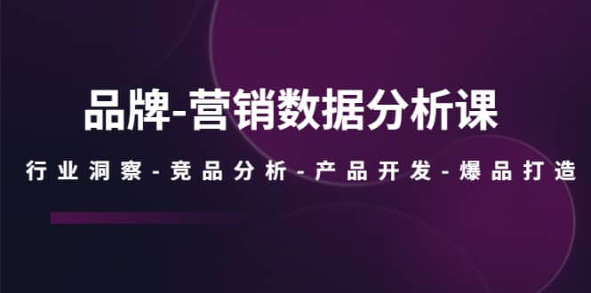 品牌-营销数据分析课，行业洞察-竞品分析-产品开发-爆品打造-文言网创