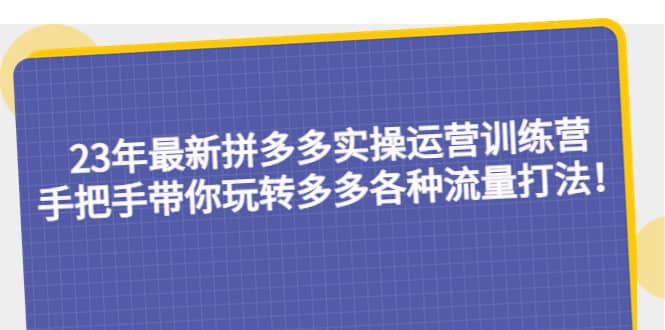 23年最新拼多多实操运营训练营：手把手带你玩转多多各种流量打法！-文言网创