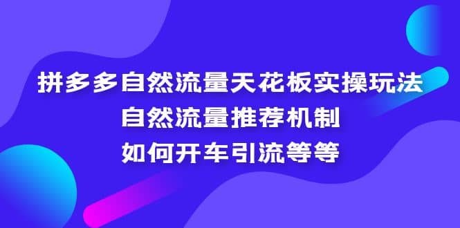 拼多多自然流量天花板实操玩法：自然流量推荐机制，如何开车引流等等-文言网创