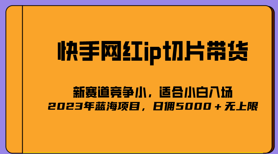 2023爆火的快手网红IP切片，号称日佣5000＋的蓝海项目，二驴的独家授权-文言网创