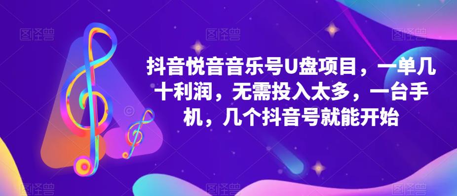 抖音音乐号U盘项目 一单几十利润 无需投入太多 一台手机 几个抖音号就开始-文言网创