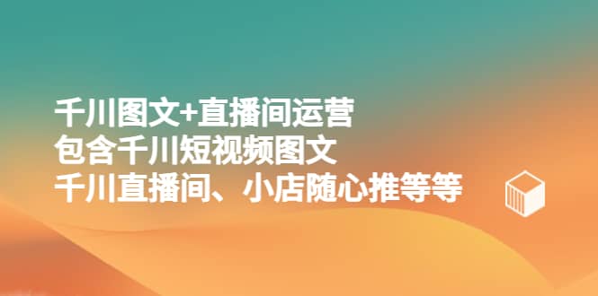 千川图文 直播间运营，包含千川短视频图文、千川直播间、小店随心推等等-文言网创