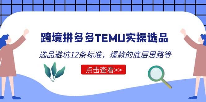 跨境拼多多TEMU实操选品运营方法，选品避坑12条标准，爆款的底层思路等-文言网创