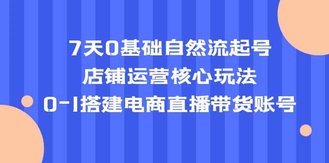 7天0基础自然流起号，店铺运营核心玩法，0-1搭建电商直播带货账号-文言网创