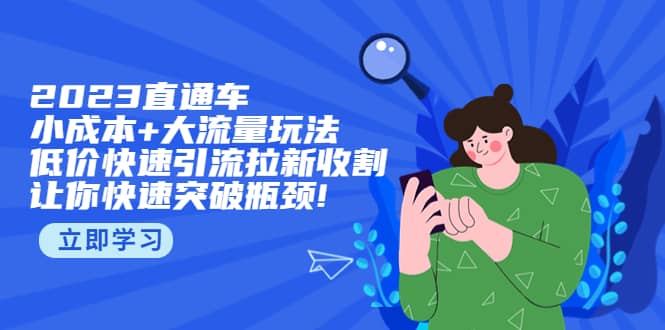 2023直通小成本 大流量玩法，低价快速引流拉新收割，让你快速突破瓶颈-文言网创