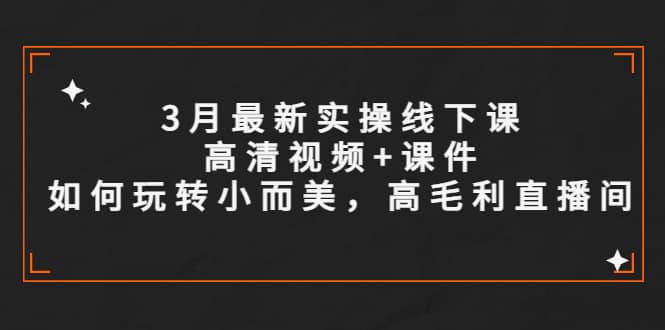 3月最新实操线下课高清视频 课件，如何玩转小而美，高毛利直播间-文言网创