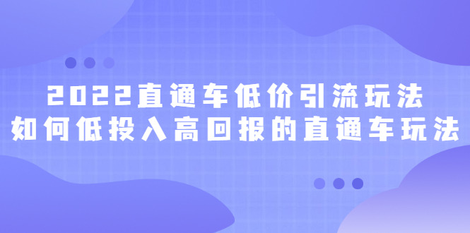 2022直通车低价引流玩法，教大家如何低投入高回报的直通车玩法-文言网创