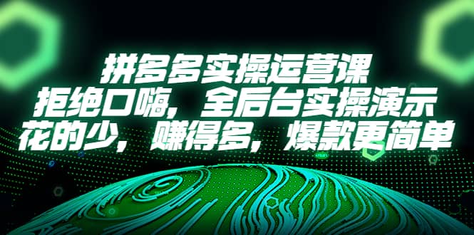 拼多多实操运营课：拒绝口嗨，全后台实操演示，花的少，赚得多，爆款更简单-文言网创