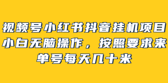 视频号小红书抖音挂机项目，小白无脑操作，按照要求来，单号每天几十米-文言网创