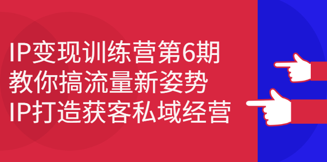 IP变现训练营第6期：教你搞流量新姿势，IP打造获客私域经营-文言网创