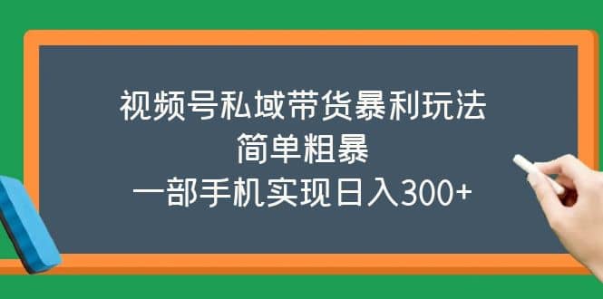 视频号私域带货暴利玩法，简单粗暴-文言网创