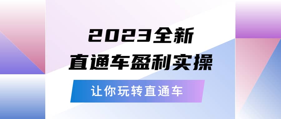 2023全新直通车·盈利实操：从底层，策略到搭建，让你玩转直通车-文言网创