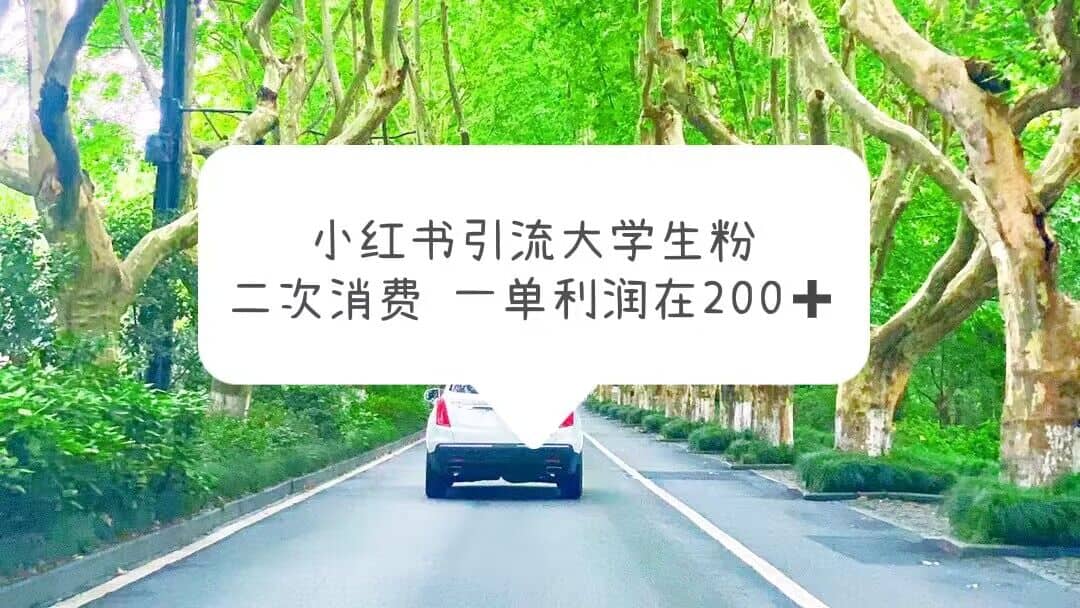 小红书引流大学生粉，变现项目，一单利润在200 （教程 资源）-文言网创