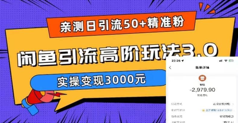 实测日引50 精准粉，闲鱼引流高阶玩法3.0，实操变现3000元-文言网创