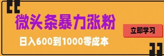 微头条暴力涨粉技巧搬运文案就能涨几万粉丝，简单0成本，日赚600-文言网创