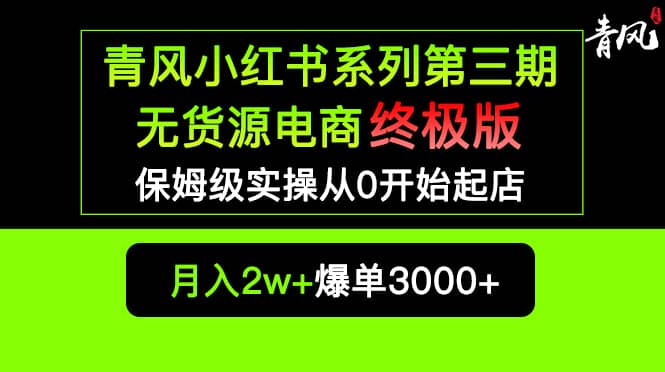 小红书无货源电商爆单终极版【视频教程 实战手册】保姆级实操从0起店爆单-文言网创