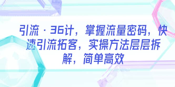 引流·36计，掌握流量密码，快速引流拓客，实操方法层层拆解，简单高效-文言网创