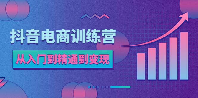 抖音电商训练营：从入门到精通，从账号定位到流量变现，抖店运营实操-文言网创