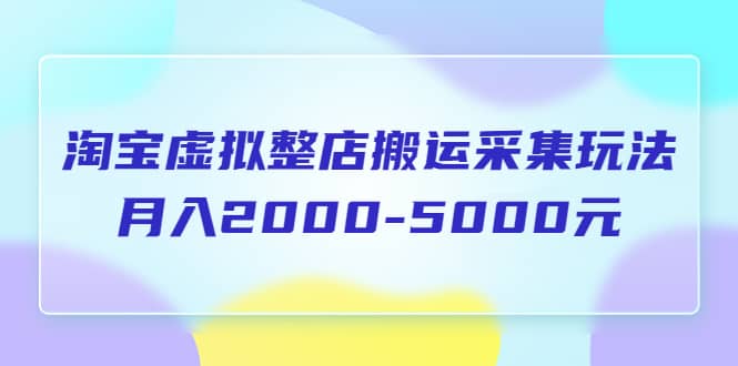 淘宝虚拟整店搬运采集玩法分享课：月入2000-5000元（5节课）-文言网创