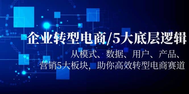 企业转型电商/5大底层逻辑，从模式 数据 用户 产品 营销5大板块，高效转型-文言网创