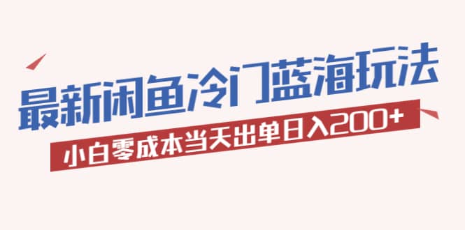 2023最新闲鱼冷门蓝海玩法，小白零成本当天出单日入200-文言网创