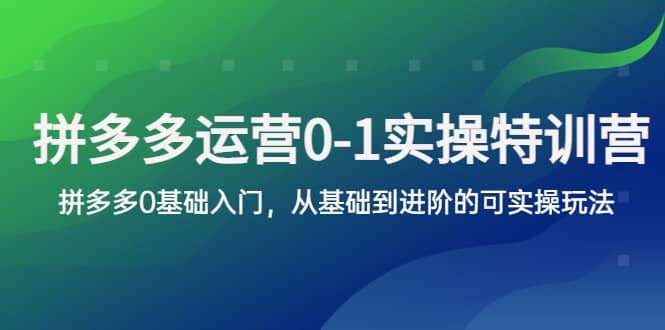 拼多多-运营0-1实操训练营，拼多多0基础入门，从基础到进阶的可实操玩法-文言网创