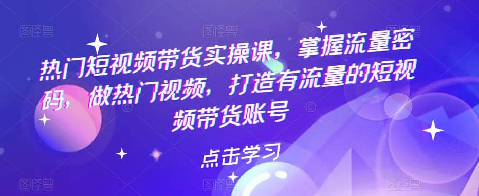 热门短视频带货实战 掌握流量密码 做热门视频 打造有流量的短视频带货账号-文言网创