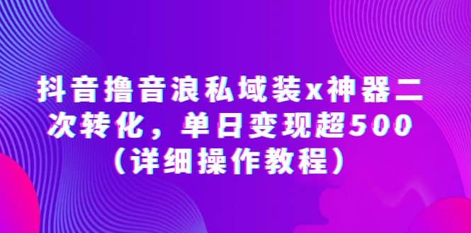 抖音撸音浪私域装x神器二次转化，单日变现超500（详细操作教程）-文言网创