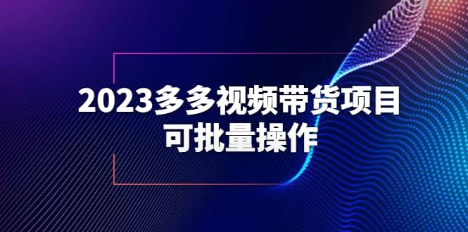 2023多多视频带货项目，可批量操作【保姆级教学】-文言网创