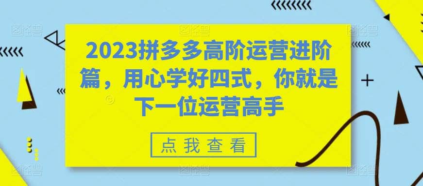 2023拼多多高阶运营进阶篇，用心学好四式，你就是下一位运营高手-文言网创