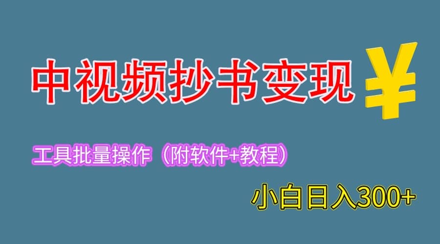 2023中视频抄书变现（附工具 教程），一天300 ，特别适合新手操作的副业-文言网创