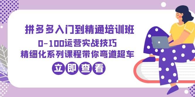 2023拼多多入门到精通培训班：0-100运营实战技巧 精细化系列课带你弯道超车-文言网创