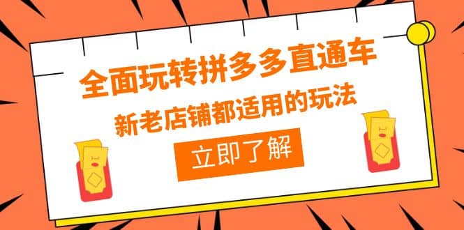 全面玩转拼多多直通车，新老店铺都适用的玩法（12节精华课）-文言网创