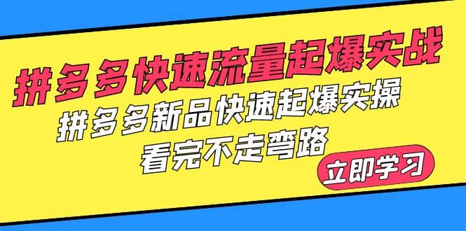 拼多多-快速流量起爆实战，拼多多新品快速起爆实操，看完不走弯路-文言网创