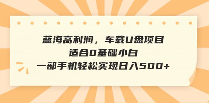 蓝海高利润，车载U盘项目，适合0基础小白，一部手机轻松实现日入500-文言网创